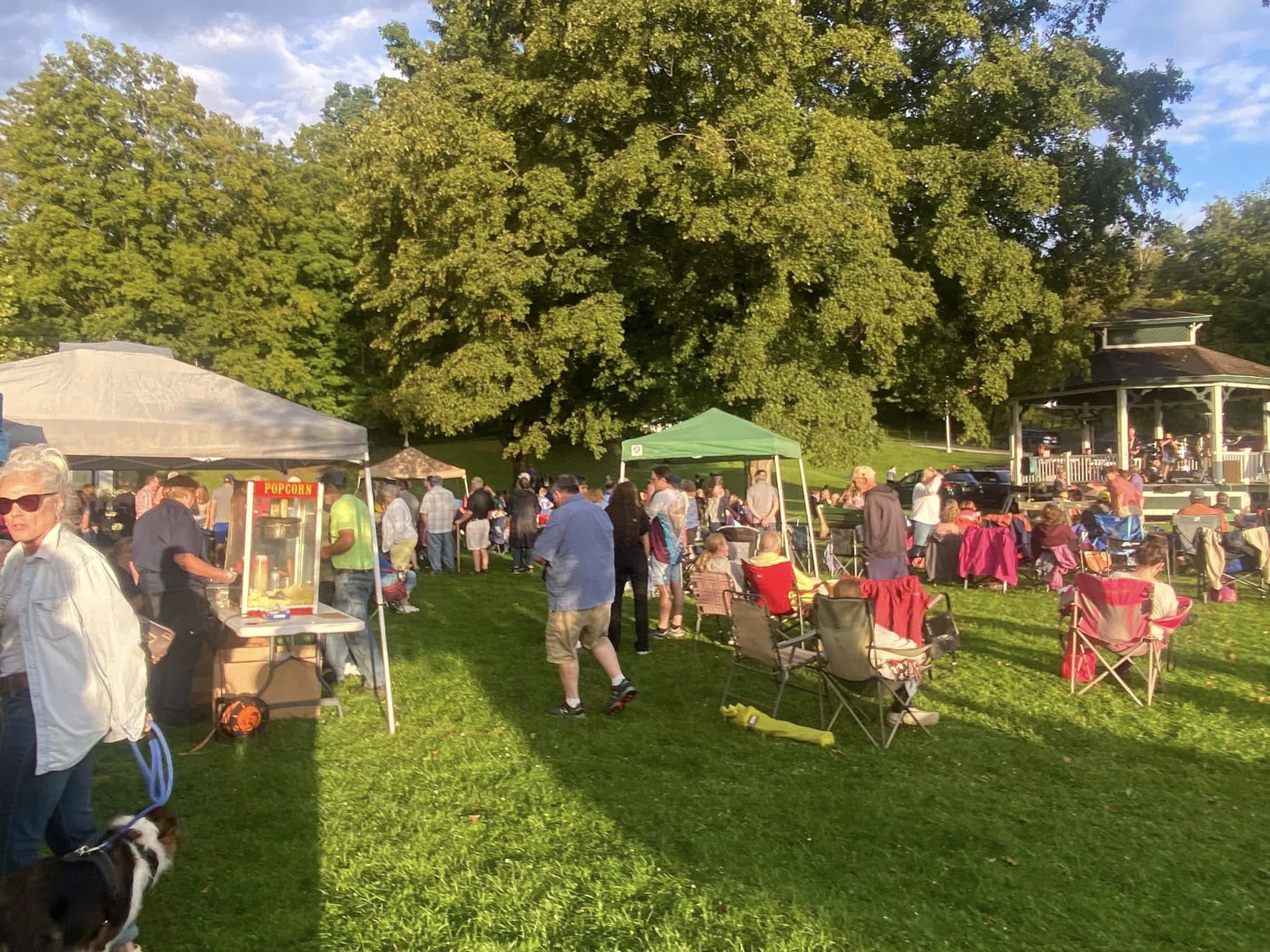 Neighbors gathered on the Wood Park lawn.