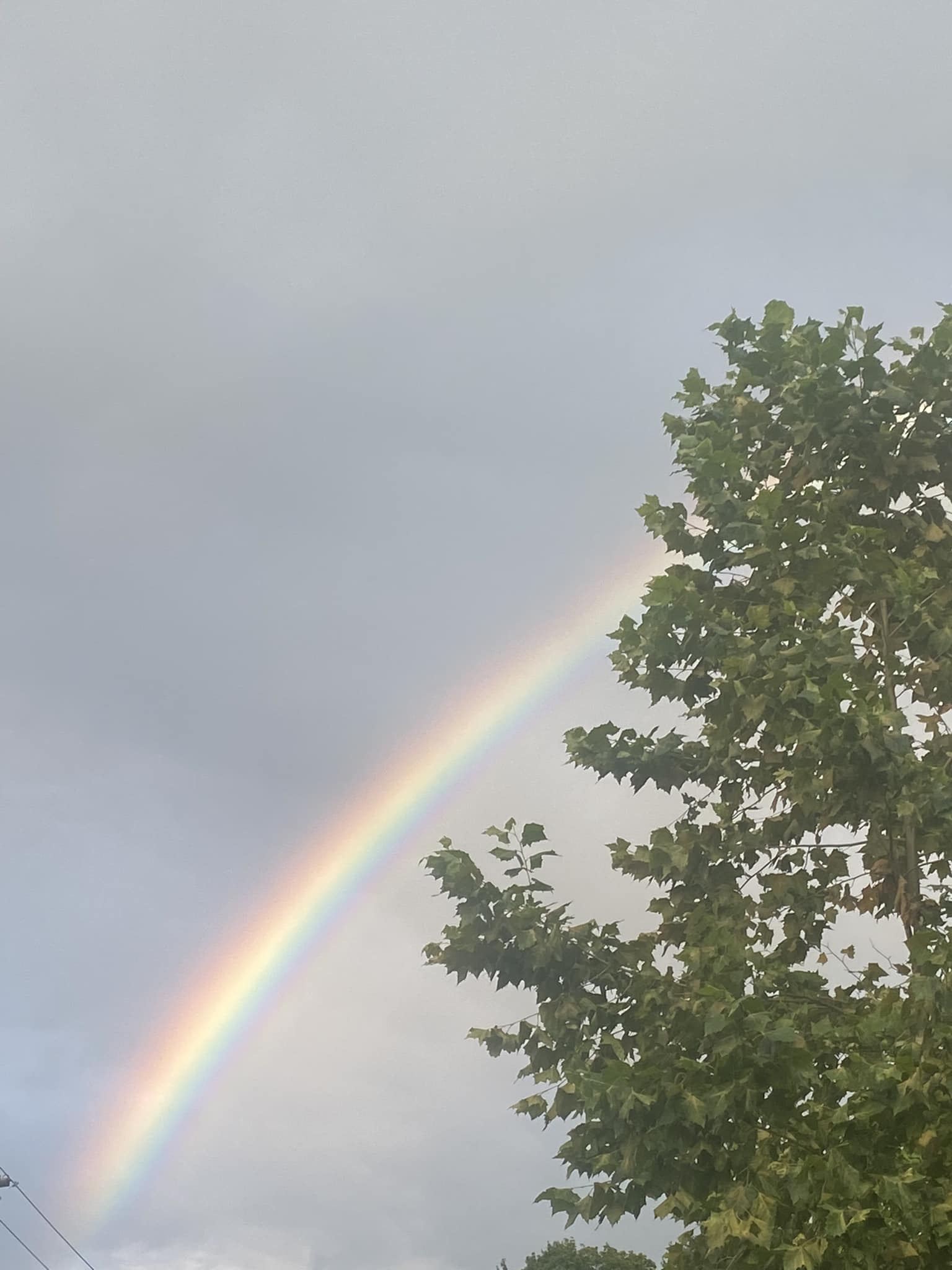 A rainbow over Wood Park on a concert evening.